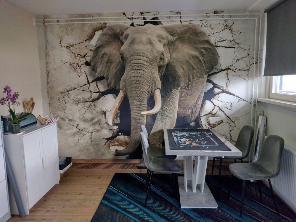 Grote olifant uit de muur