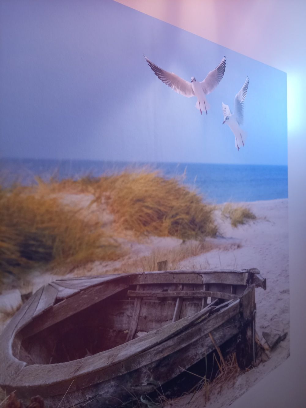 Oude vissersboot, meeuwen, strand en zee