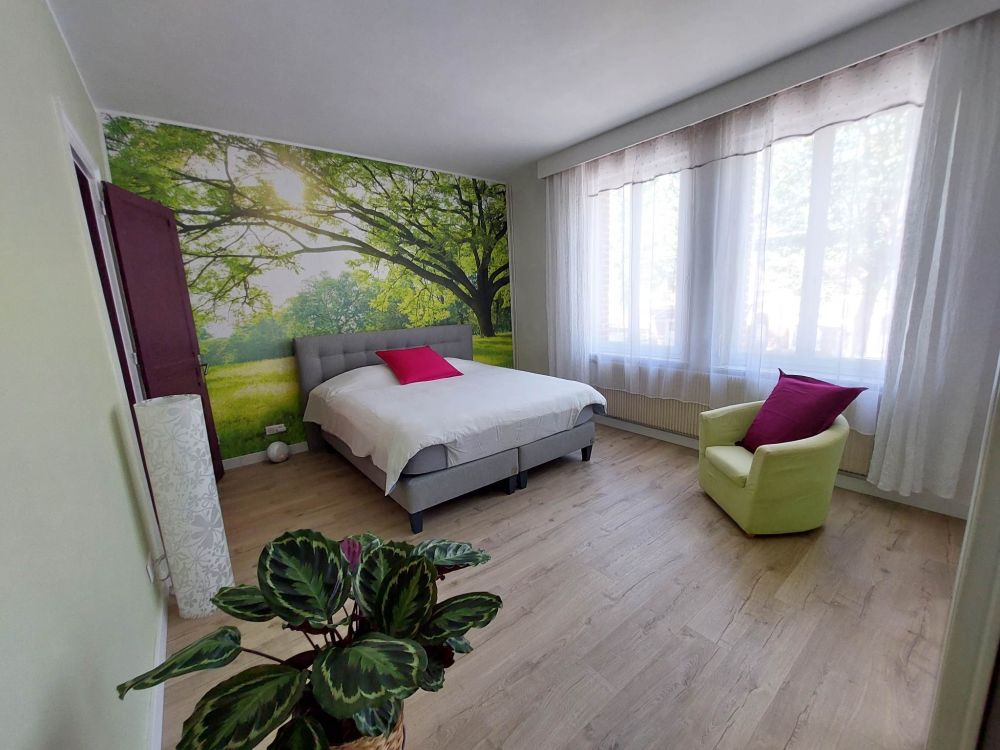 Prachtige boom met groen gras