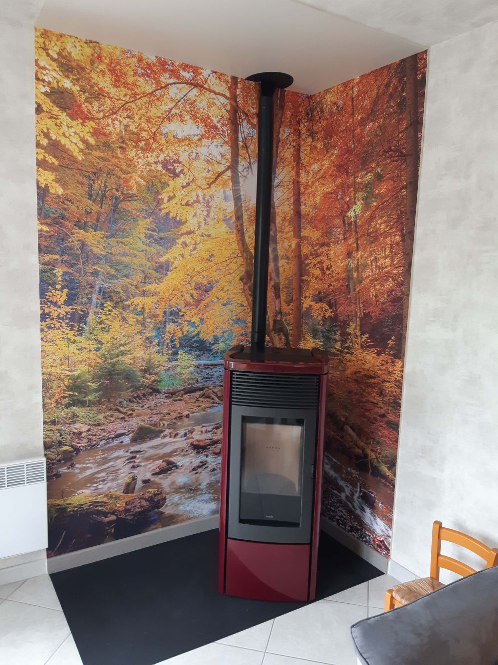 Herfst in wild bos