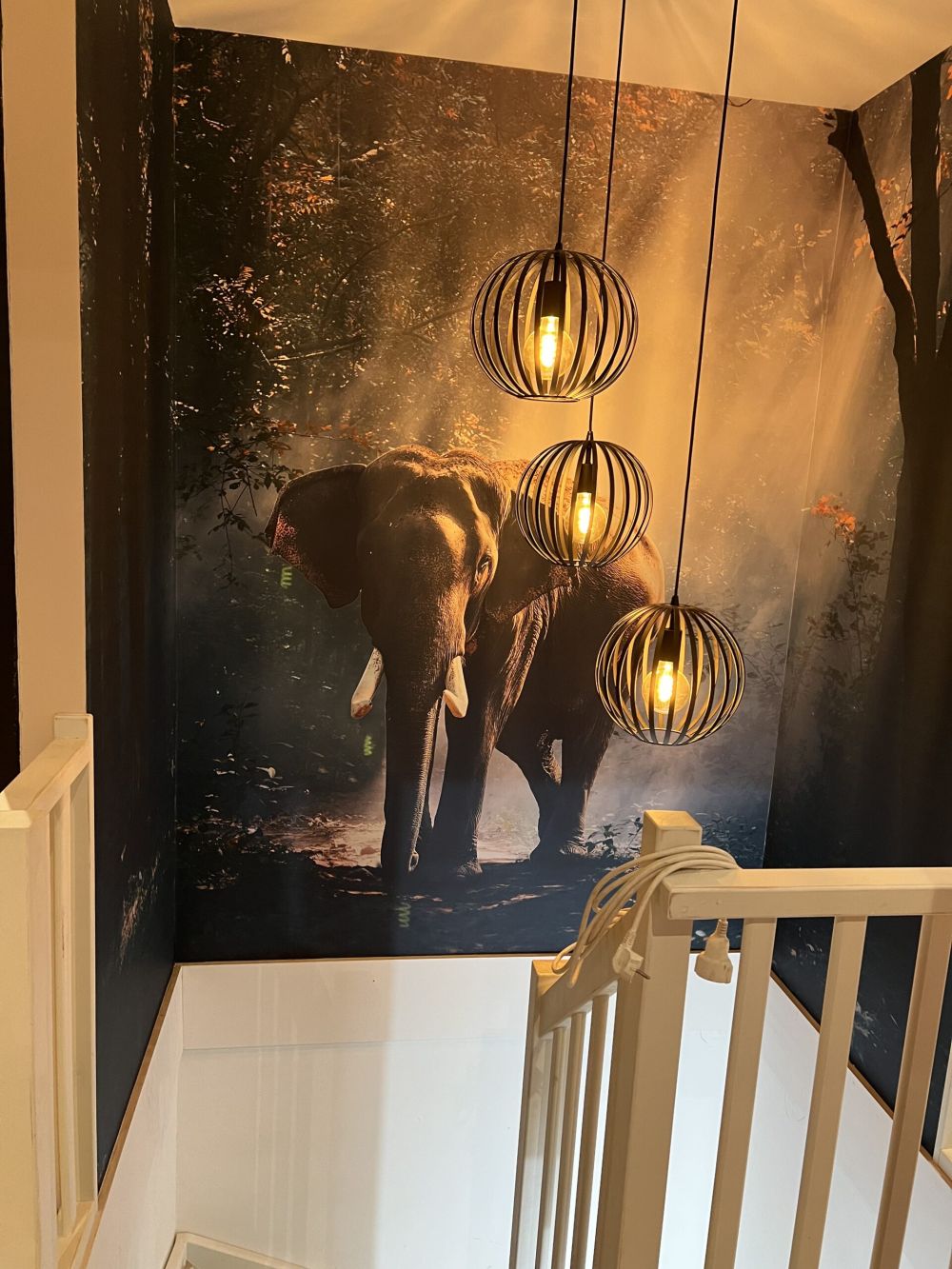 Olifant in een jungle