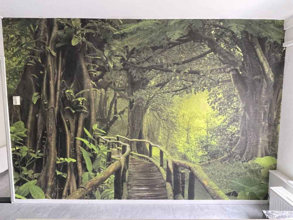 Houten brug door een groene jungle