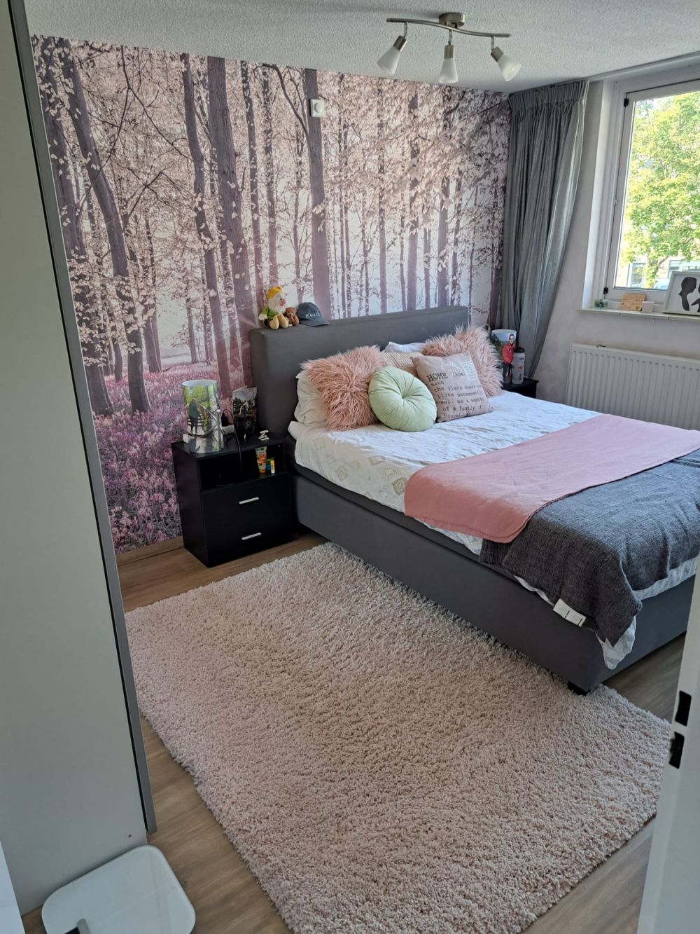 Bos in het voorjaar