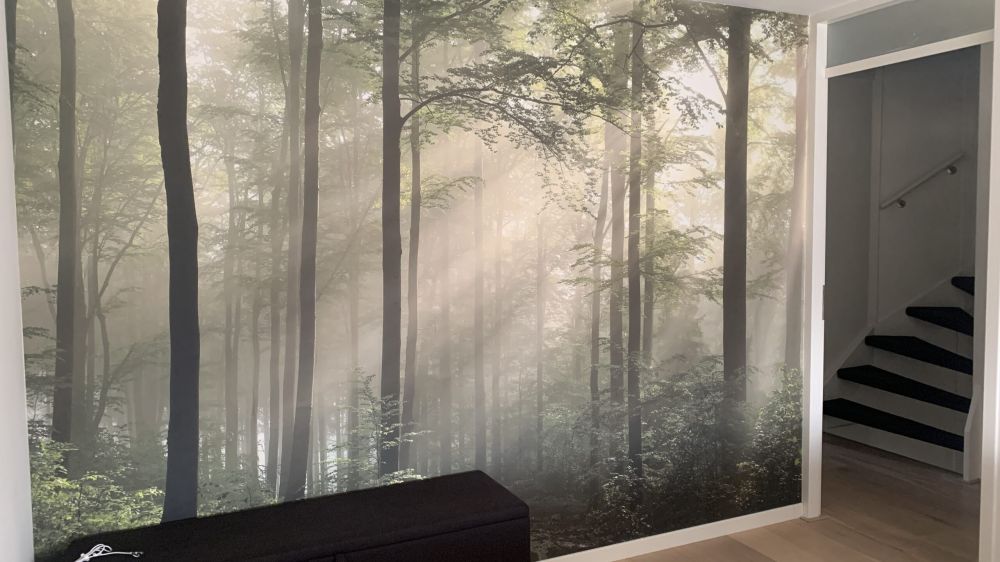 Groen bos in de mist