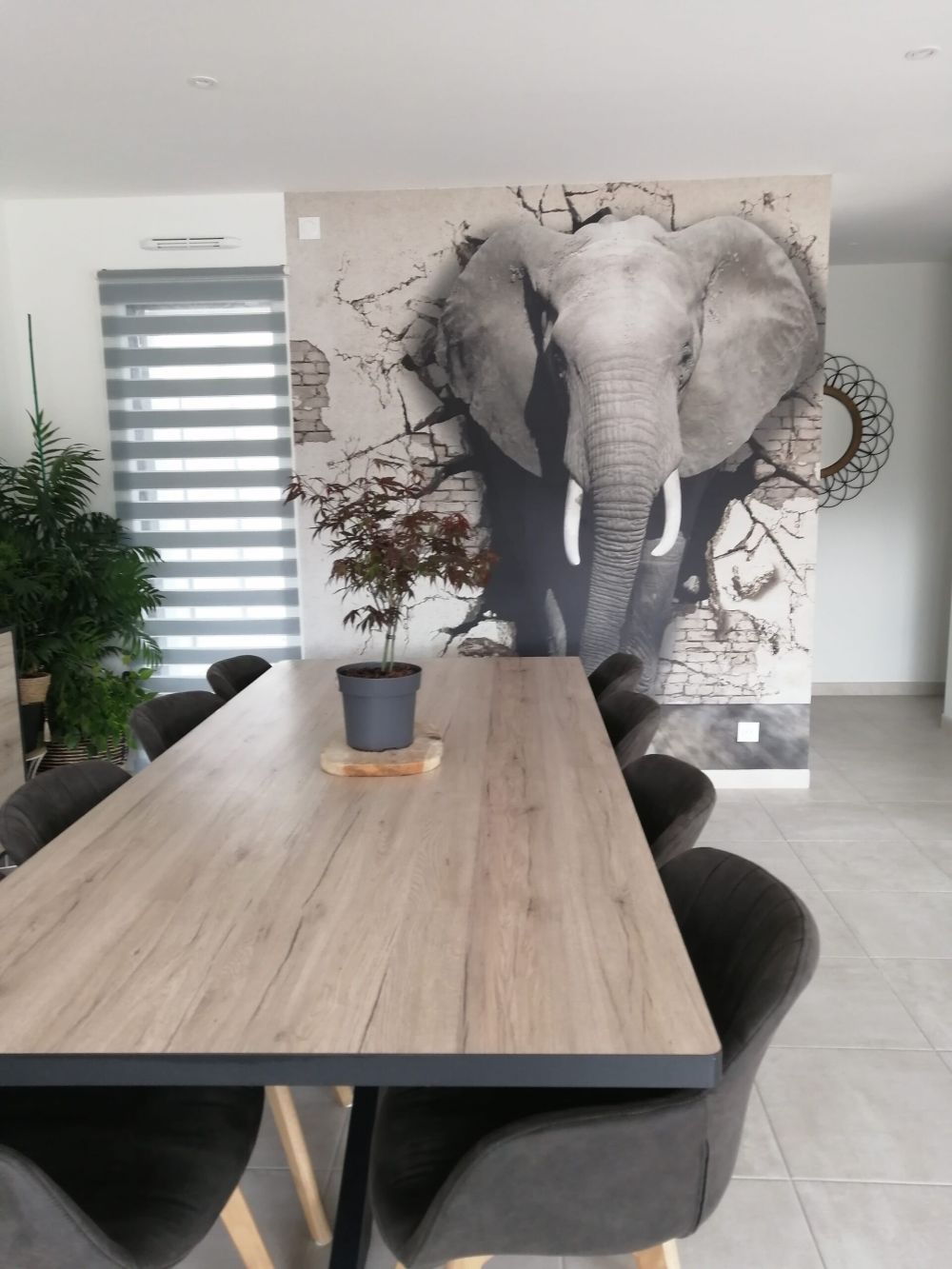 3D Olifant uit de muur