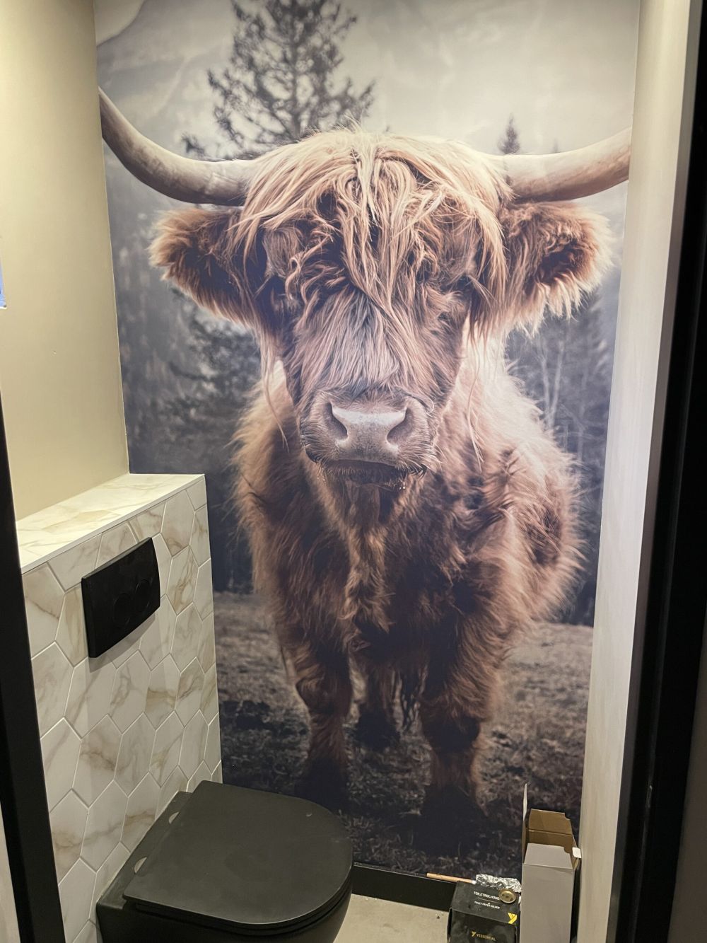Schotse hooglander bij het bos