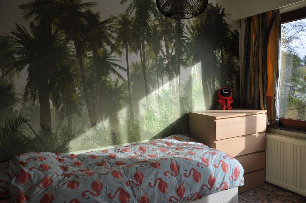 Mistige jungle