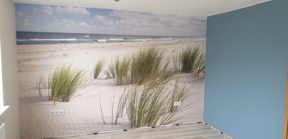 Strand met duinplanten