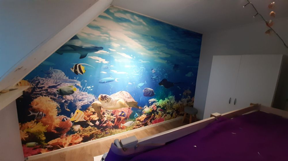 Exotische vissen
