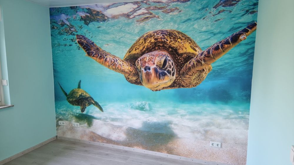 Zeeschildpad in de oceaan