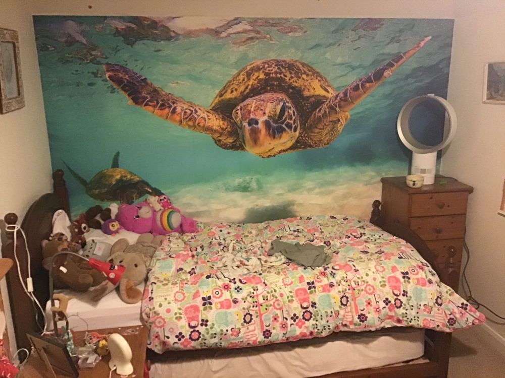 Zeeschildpad in de oceaan