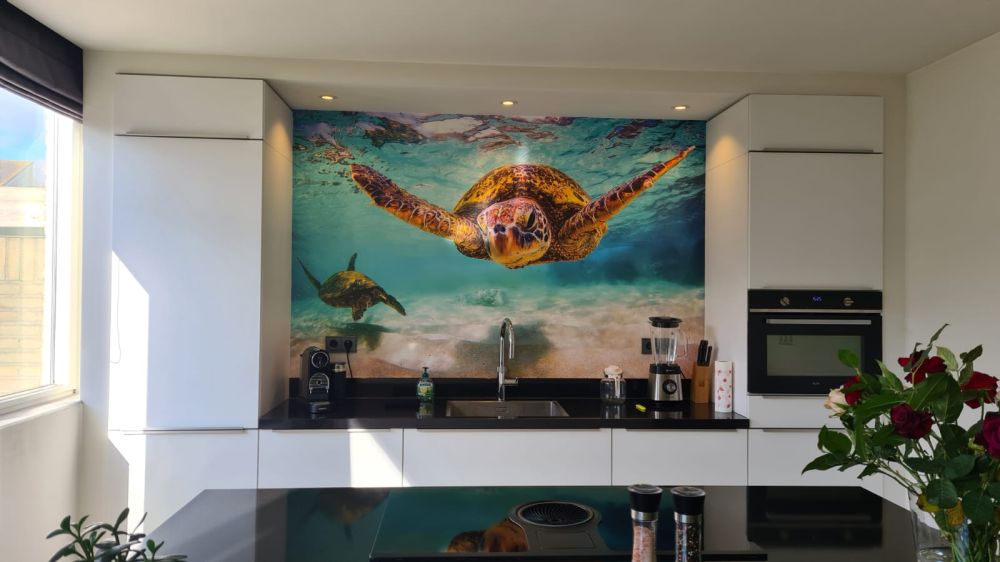 Zeeschildpad in de oceaan