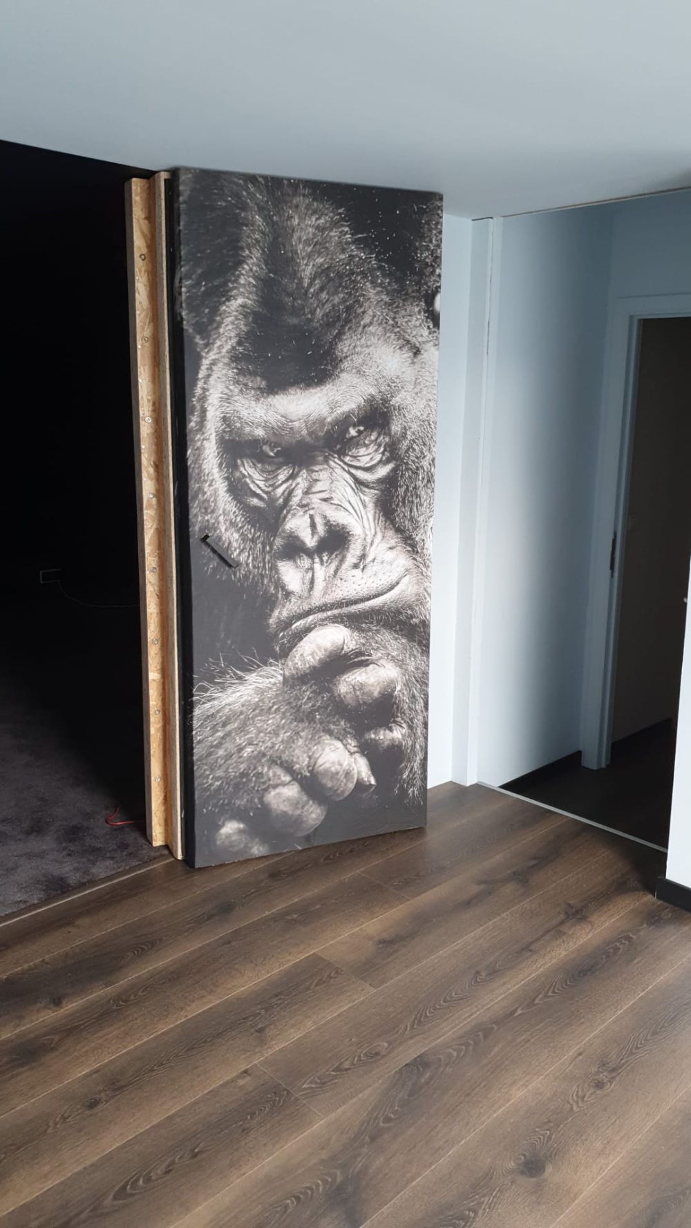 Close-up foto van een gorilla