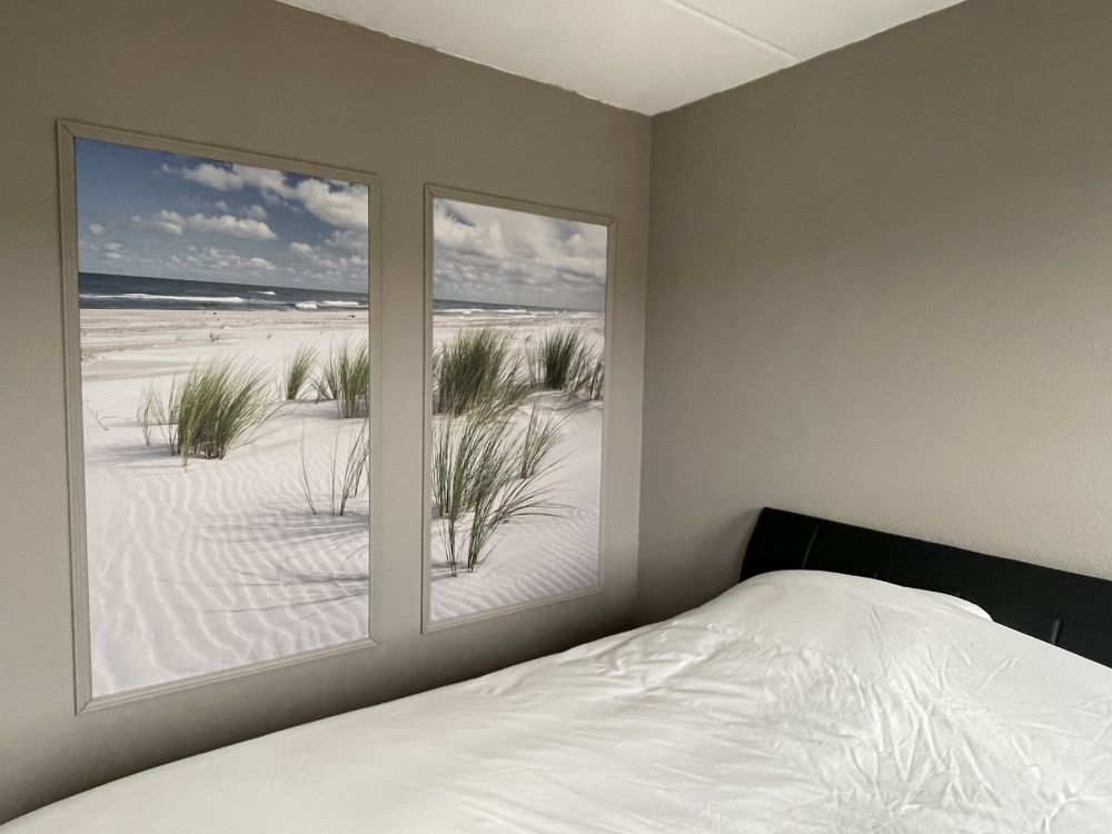 Strand met duinplanten