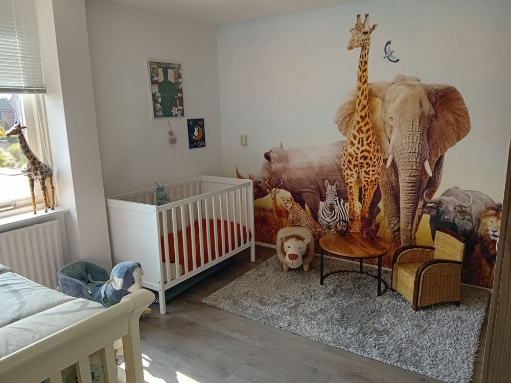 Dieren in de savanne
