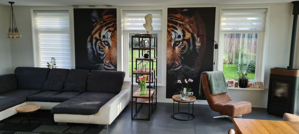 Tijger panorama