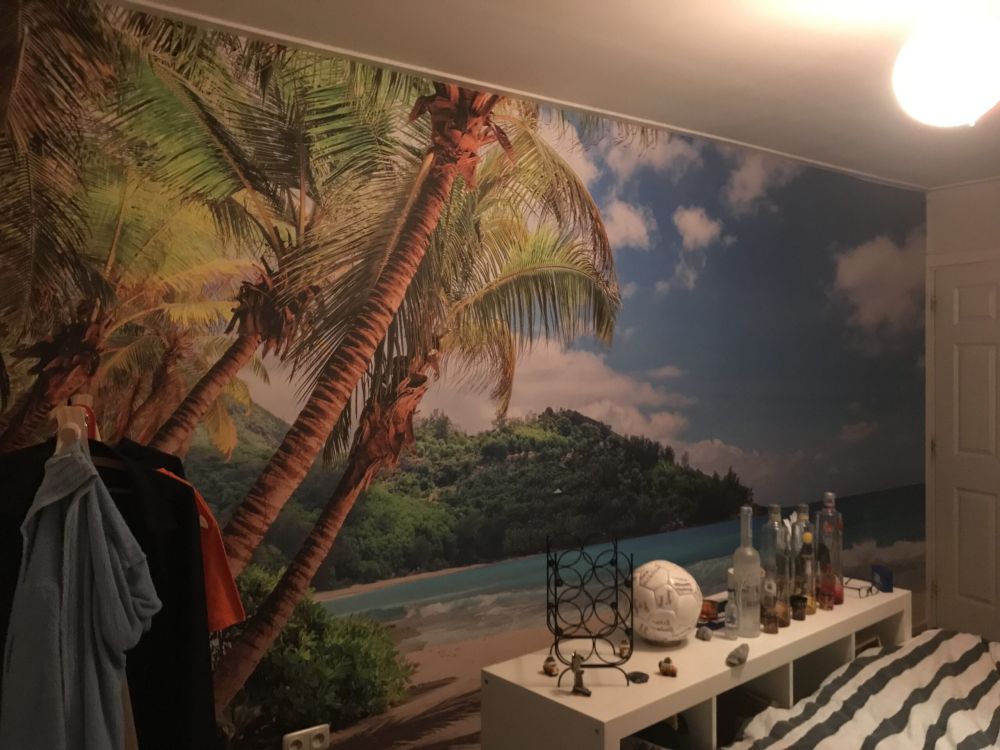 Prachtig strand met palmen