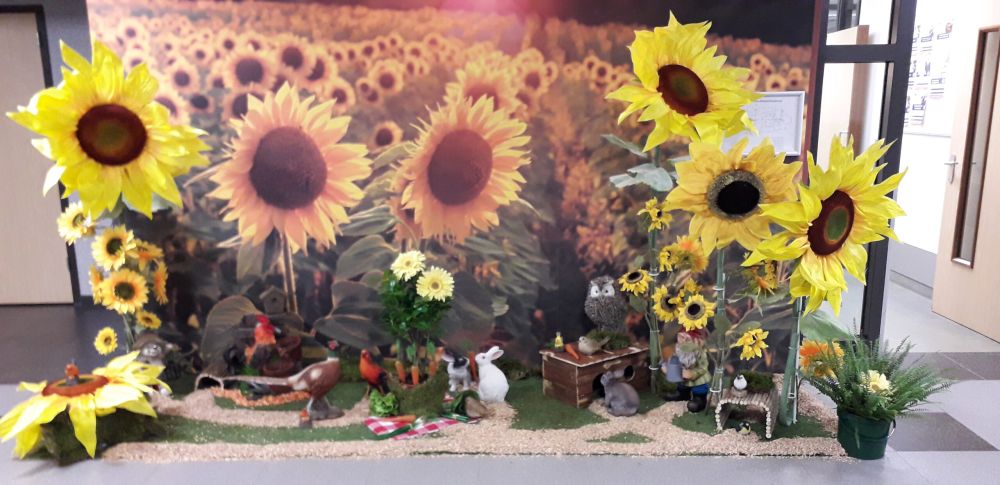 Zonnebloemen boerderij