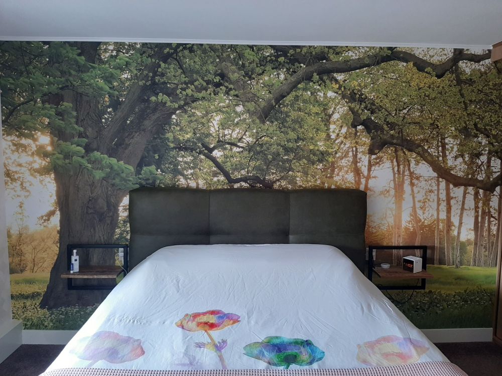 Fotobehang van een open plek in het bos