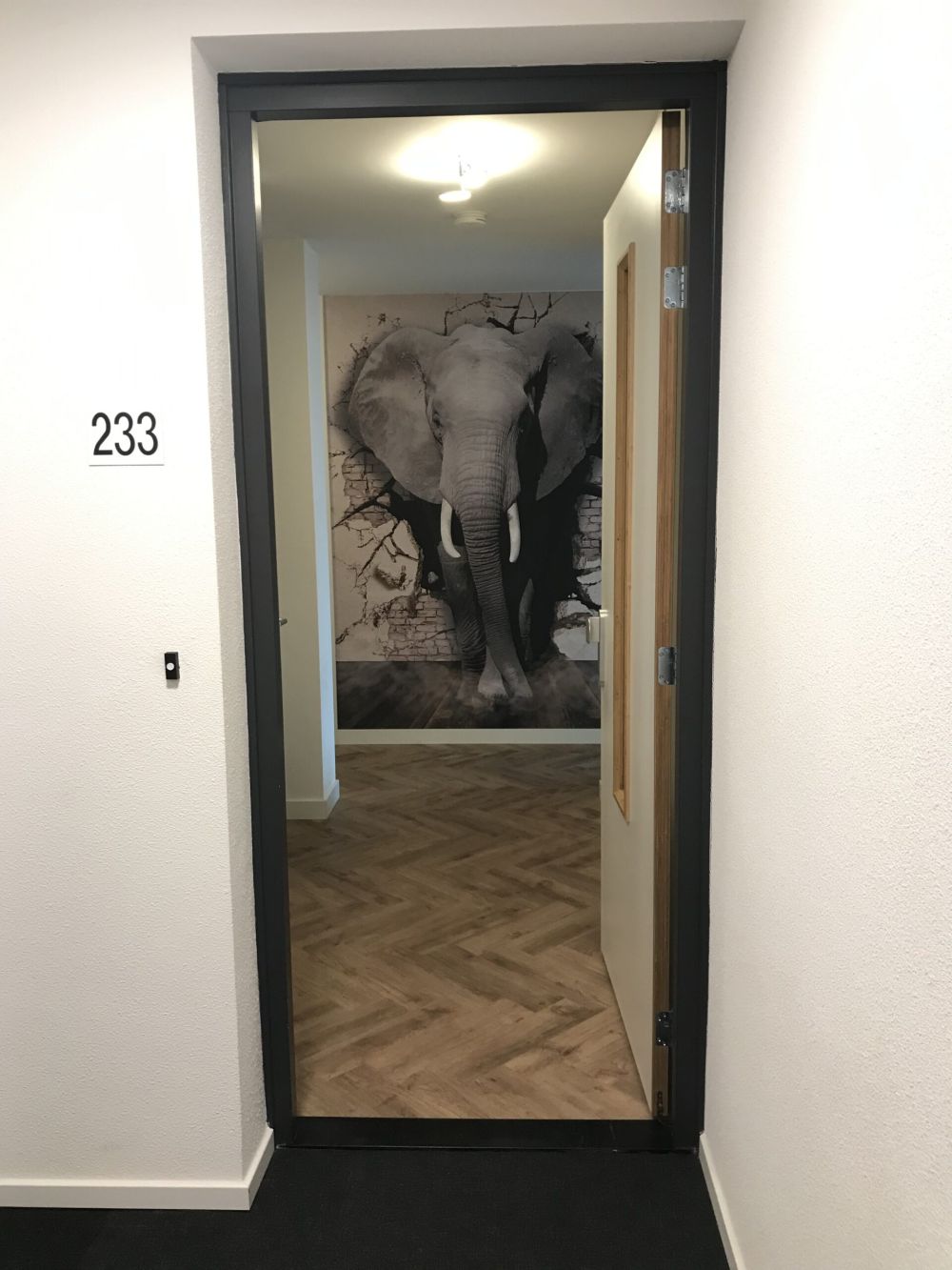 3D Olifant uit de muur