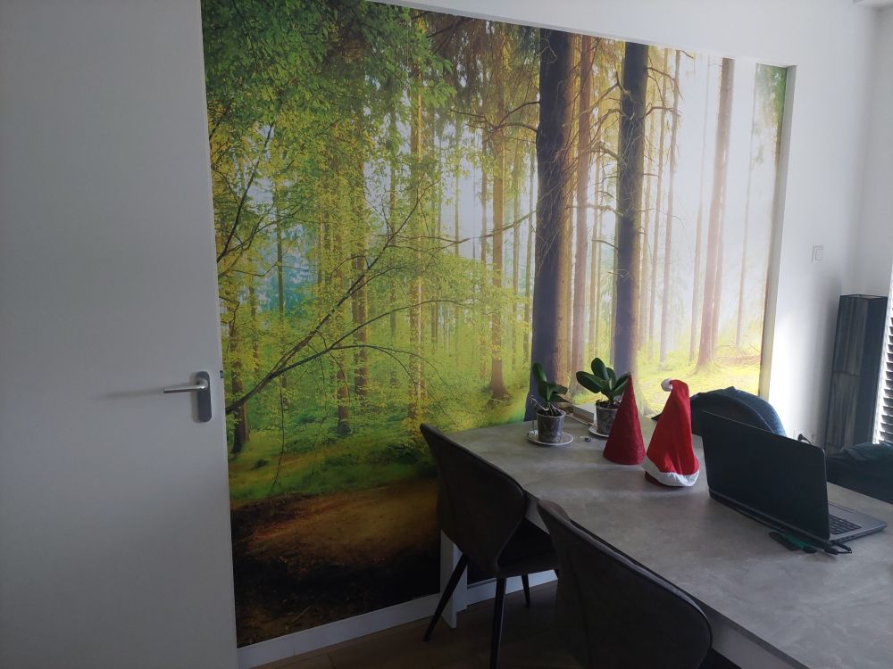 Frisgroen bos