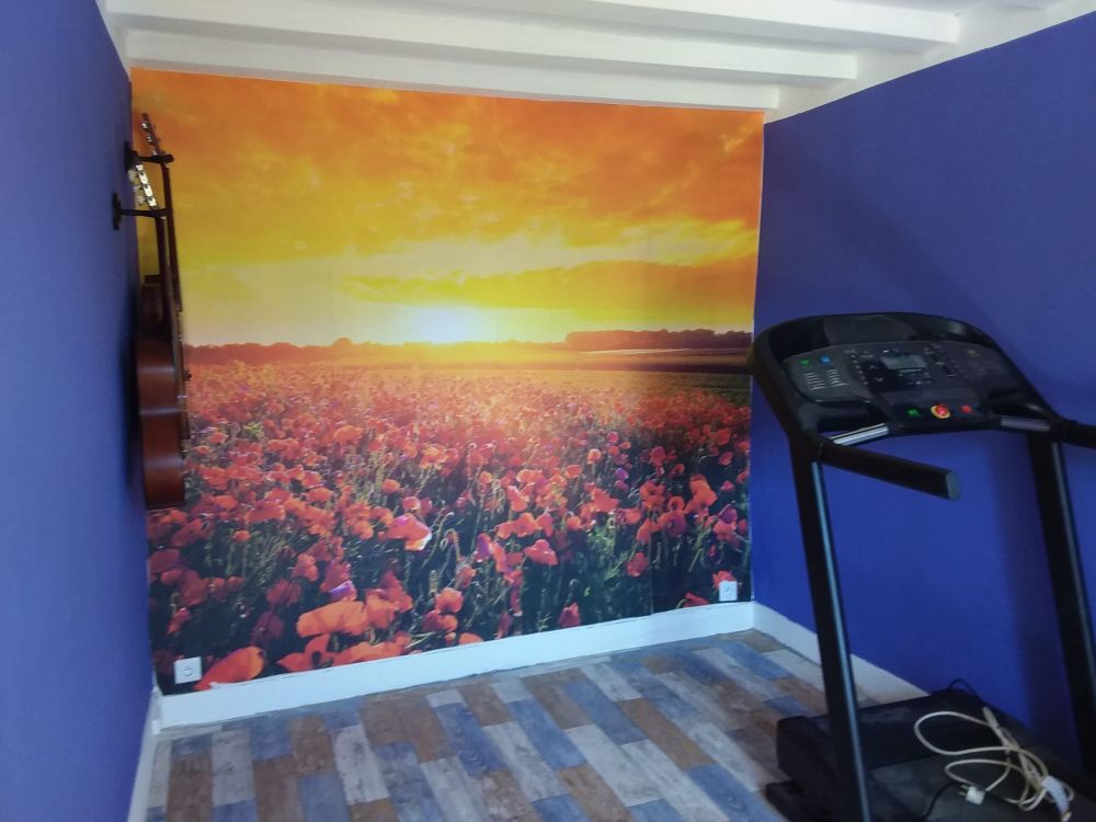 Klaprozen en zonsondergang