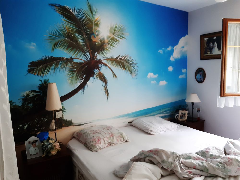 Grote palmboom