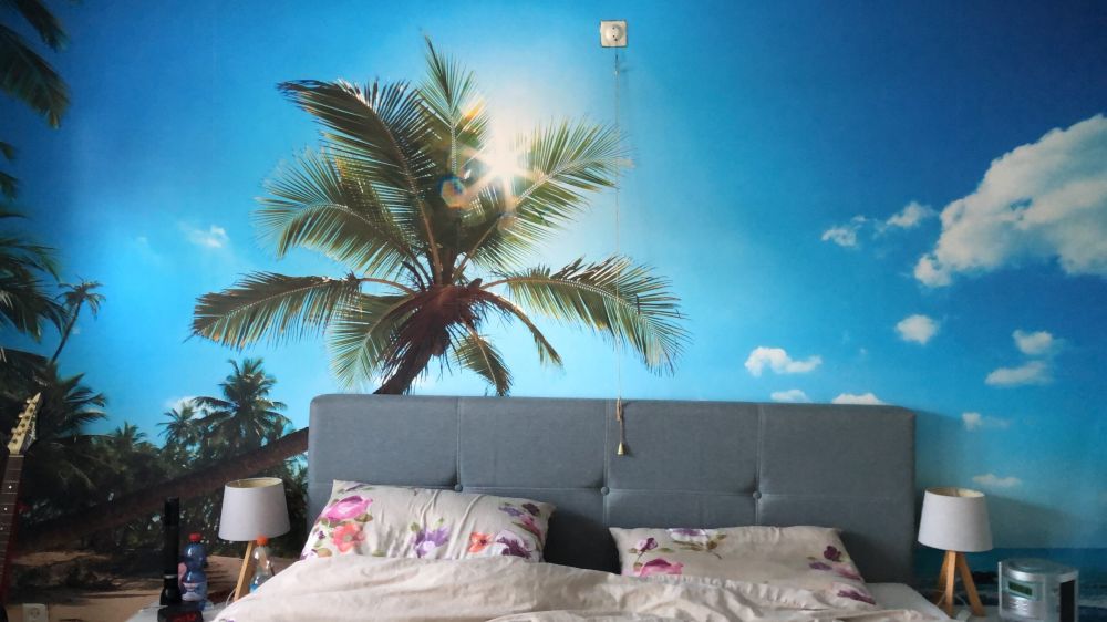 Grote palmboom