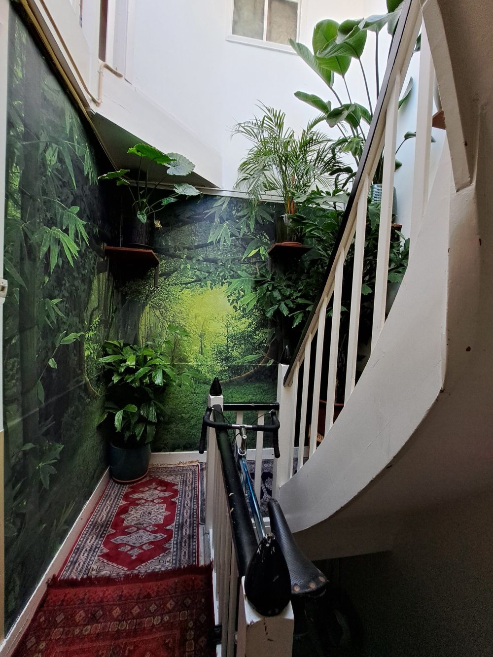 Tropische jungle