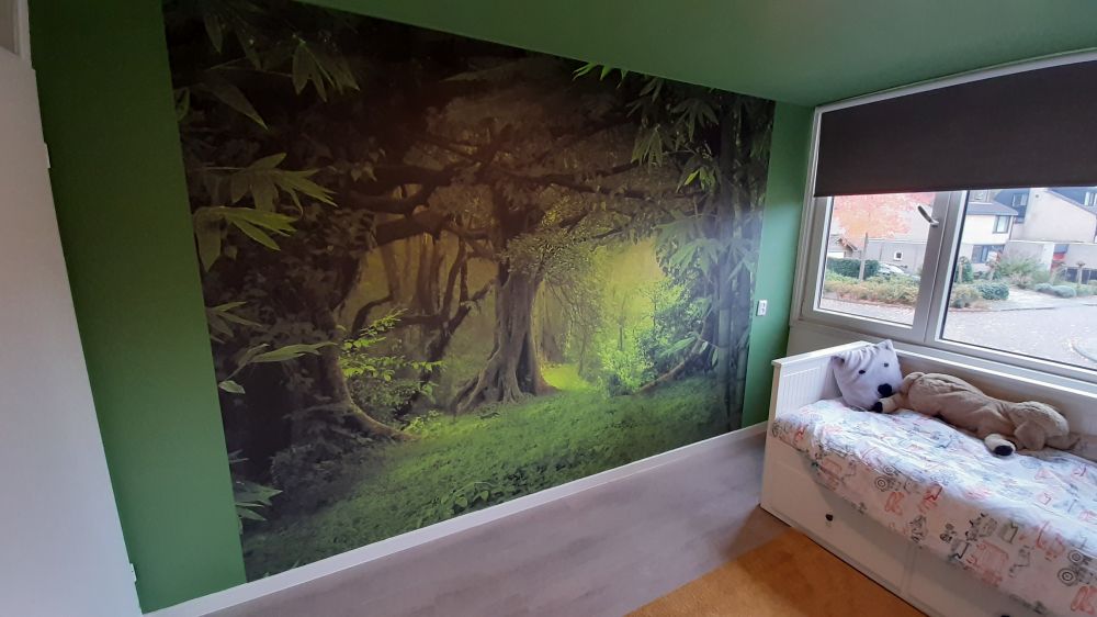 Tropische jungle