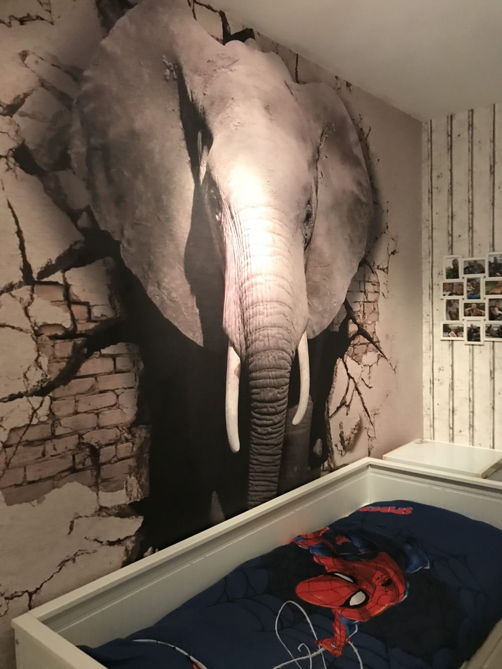 3D Olifant uit de muur