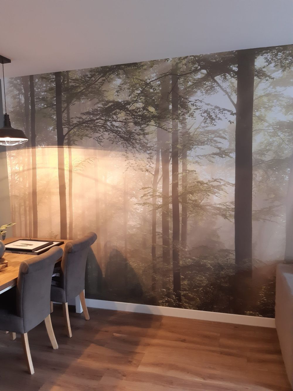 Groen bos in de mist