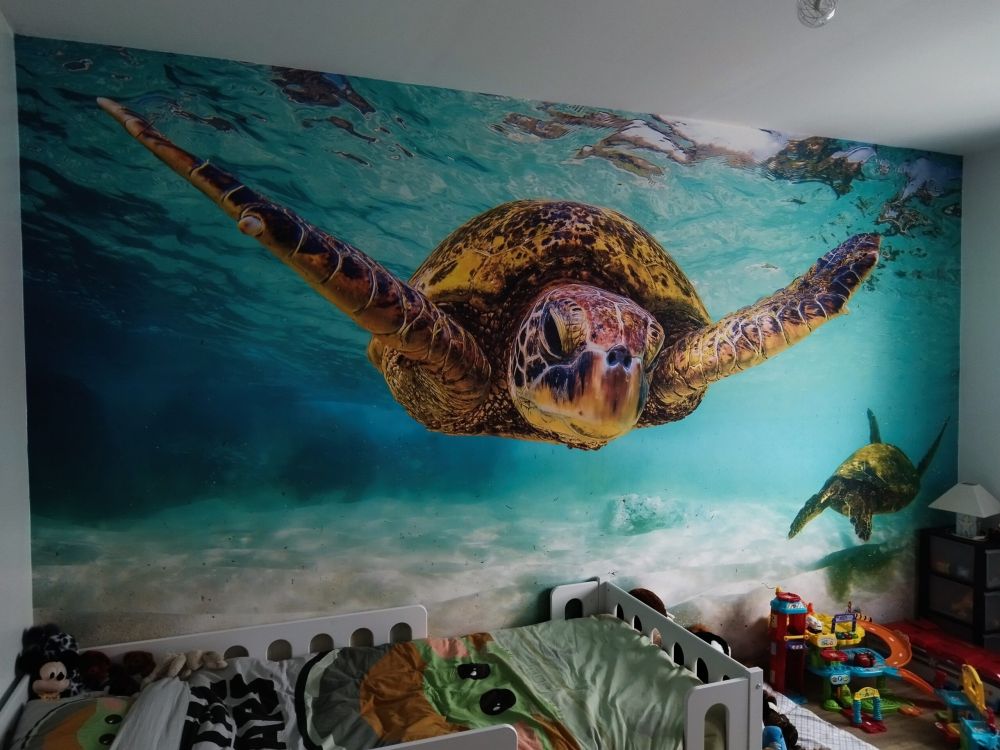 Zeeschildpad in de oceaan