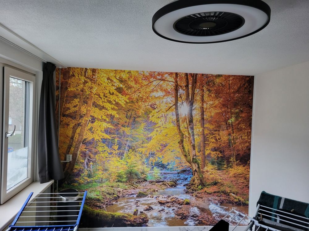 Herfst in wild bos
