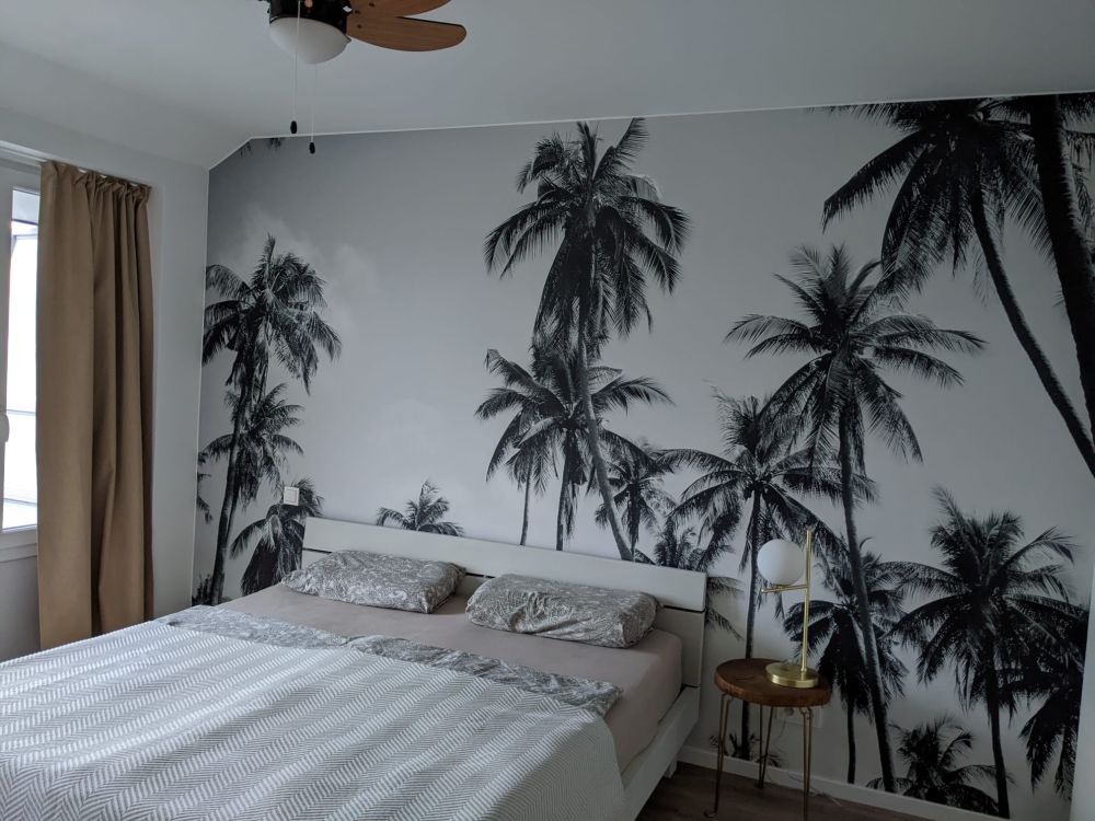 Palmbomen in zwart-wit