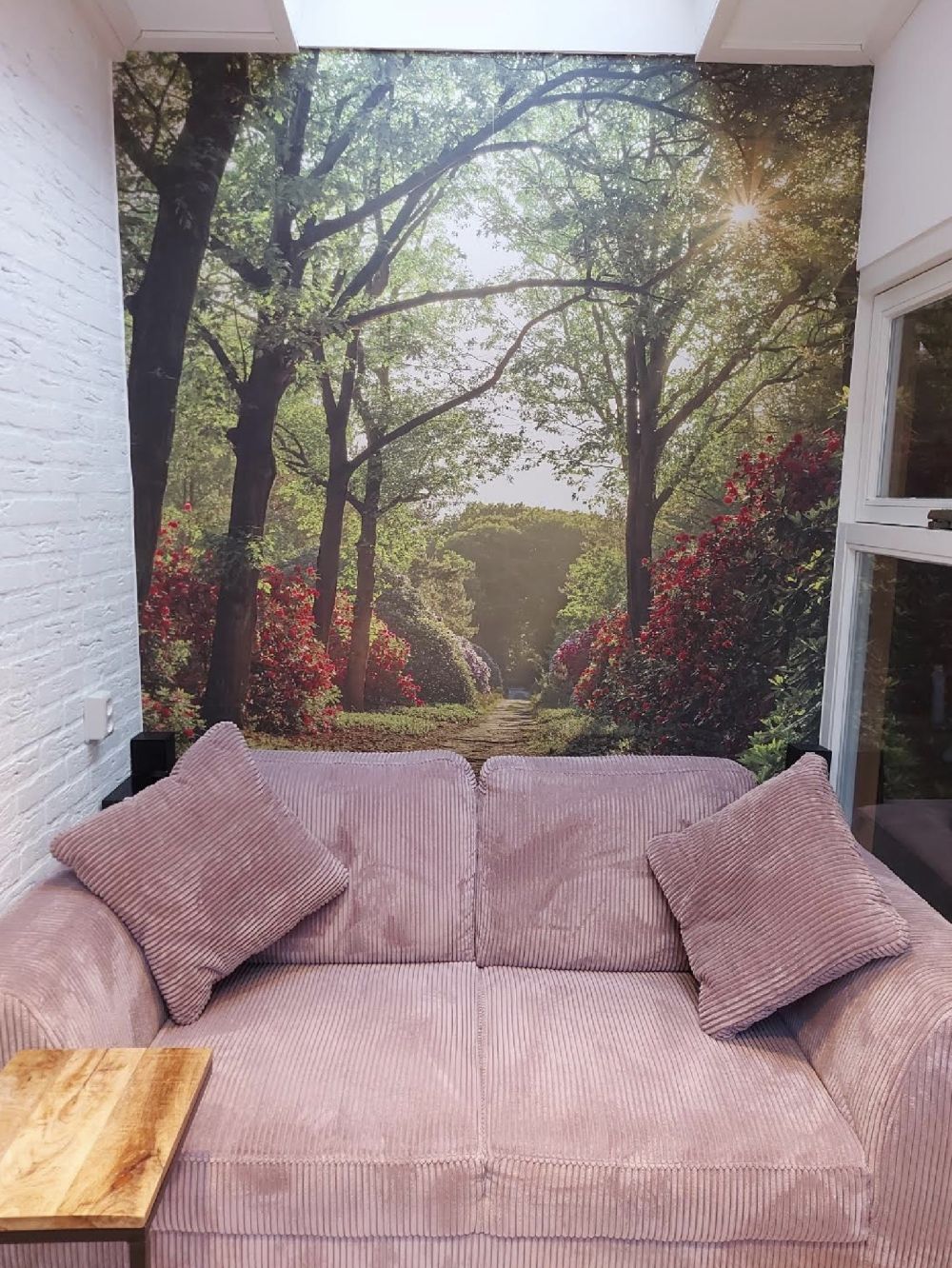 Zonsopkomst bij pad met rhododendrons