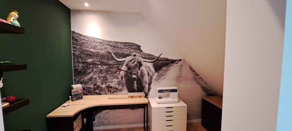 Schotse hooglander op een weg