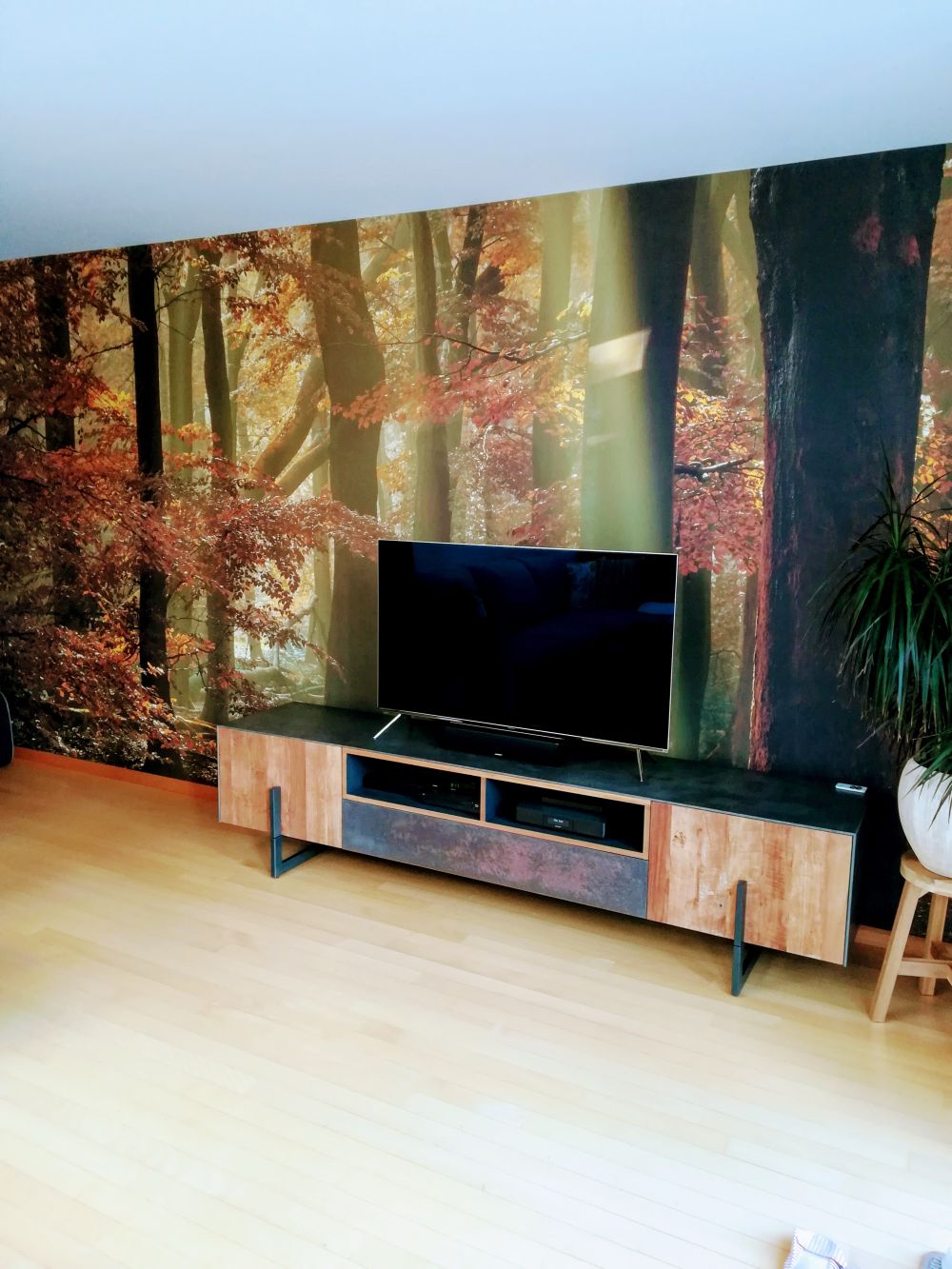 Herfstkleuren in het bos