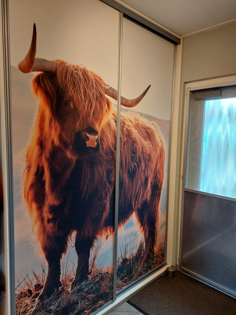 Schotse hooglander op een heuvel