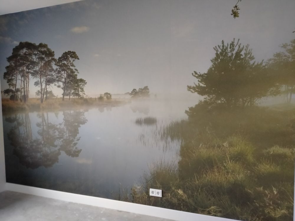 Weerspiegeling in heidegebied