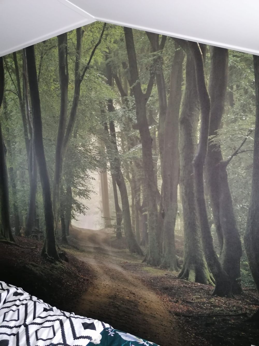 Zandpad in het bos