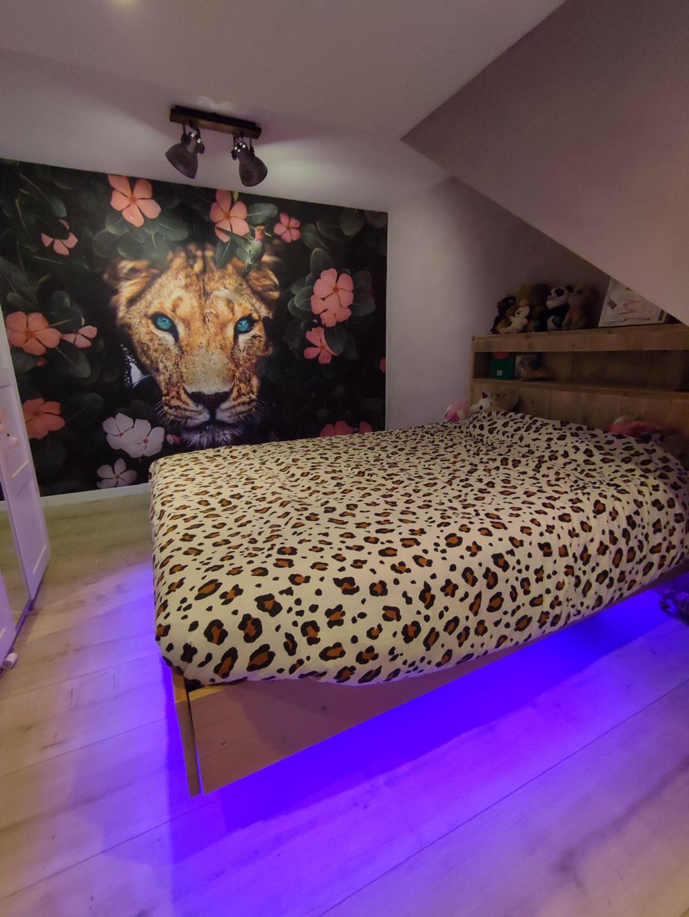 Jungle Lioness
