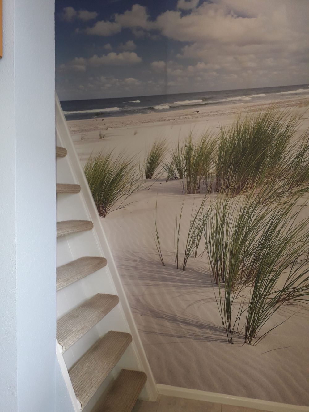 Strand met duinplanten