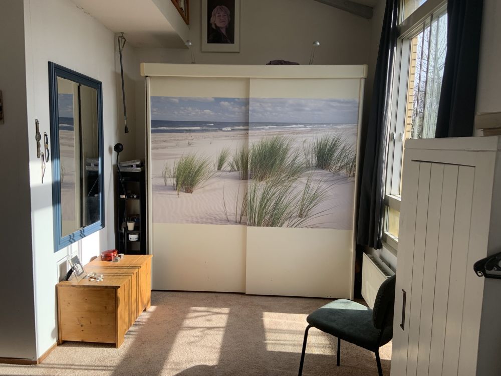 Strand met duinplanten