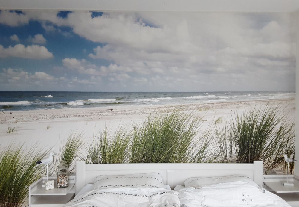 Strand met duinplanten