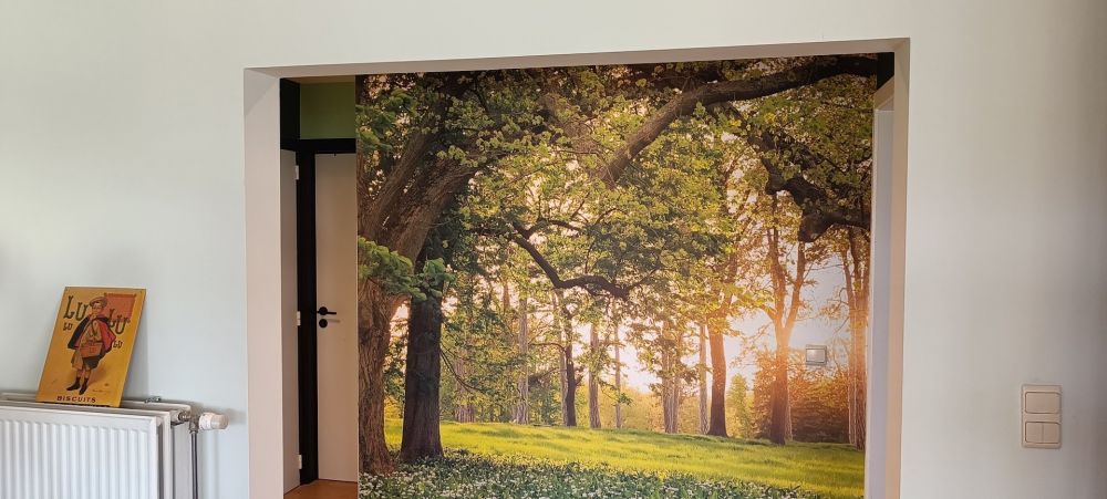 Fotobehang van een open plek in het bos