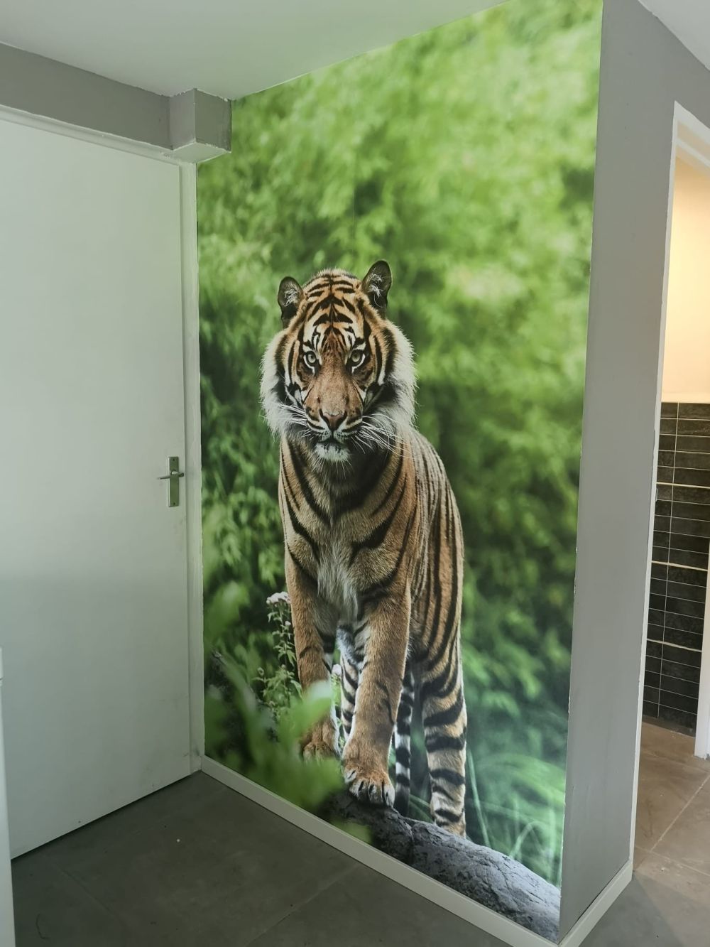 Tijger die op een steen staat