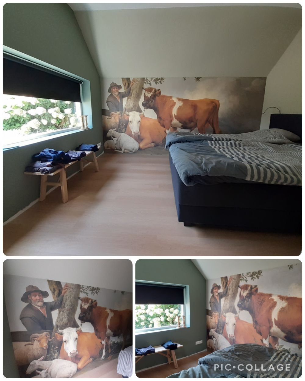 De stier