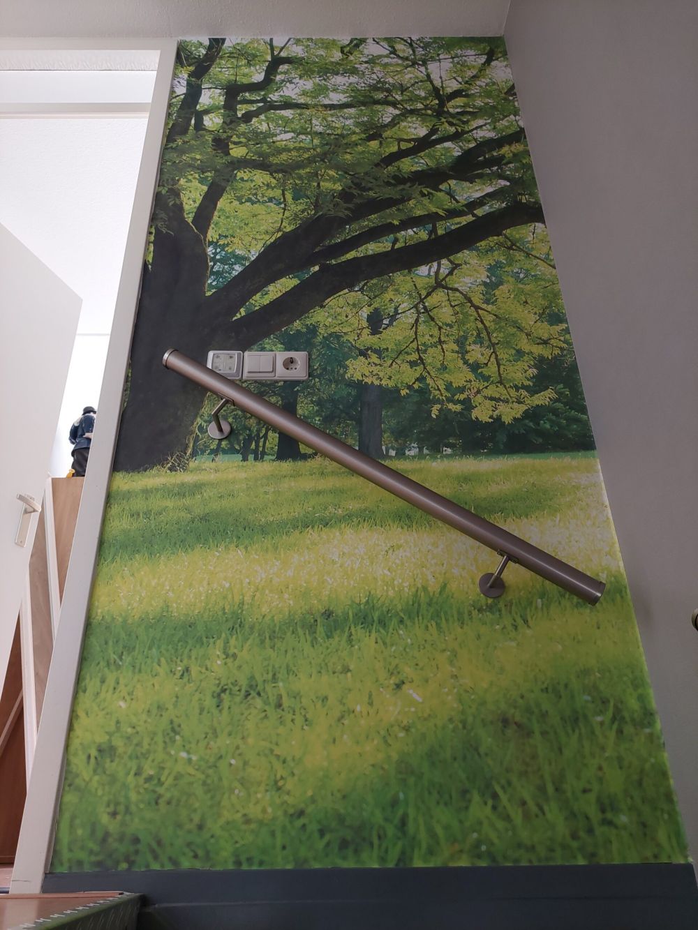 Prachtige boom met groen gras