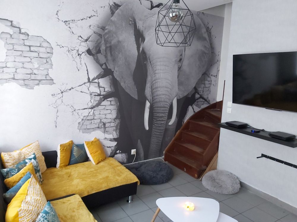 3D Olifant uit de muur